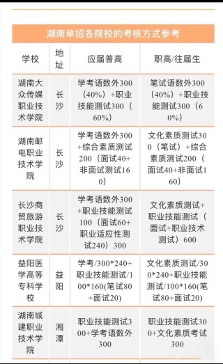 2026年湖南985工科报考参考：中南大学招生与学科解析