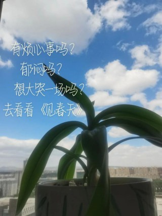 这春天，是否你闻得见