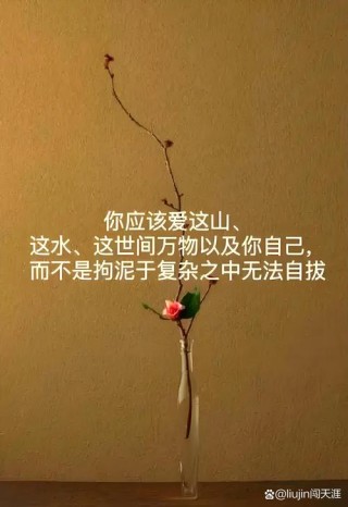 唯美舒心励志的句子，句句痛彻心扉心，总有一句说到你的心里