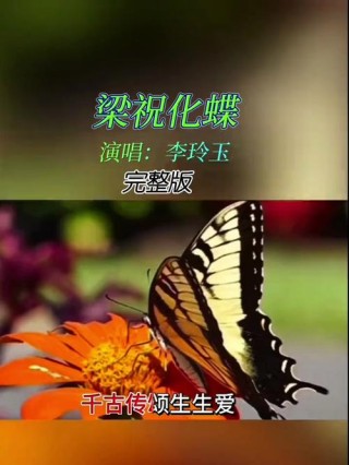 化蝶