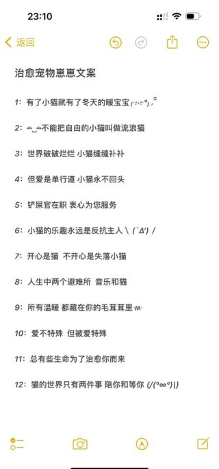 宠爱如初，感动心灵的宠物情感文案