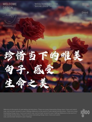 珍惜当下，享受生命的美好
