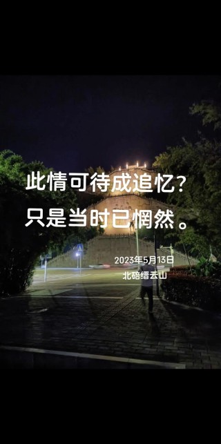 此情可待成追忆
