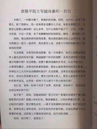 稻子熟了想起母亲