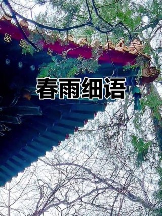 春雨如丝