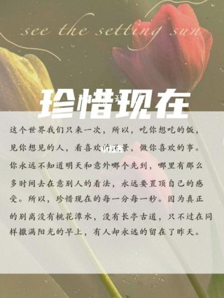 珍惜现在，拥抱未来