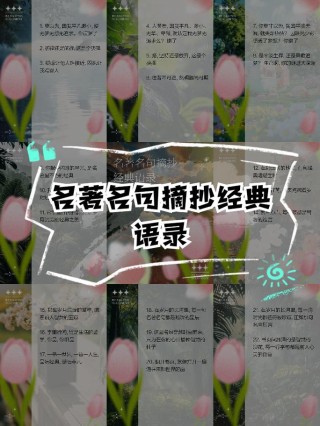 世界名著名言500句，世界名著名言精选500句