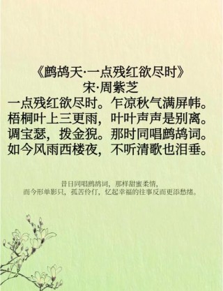 10首经典诗词，初读只觉惊艳，再读已懂人生