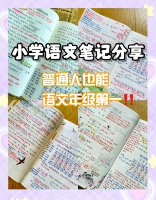 写作指导——《宇宙的另一边》，附范文+课文预习