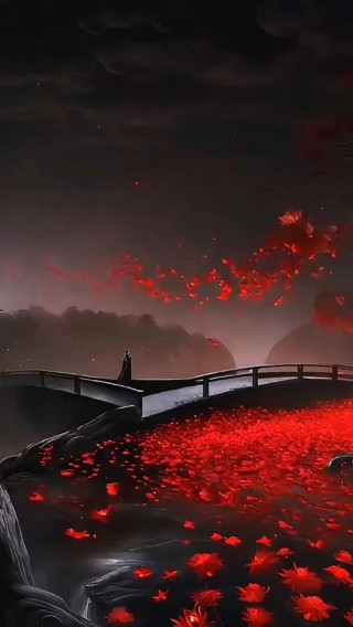 彼岸花开，惊落流光里的深情