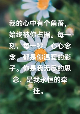 惦念温馨过往
