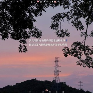 每一天都很特别