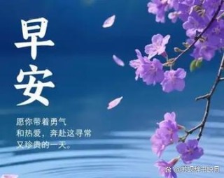 携一缕花香，温润时光；伴一束暖阳，岁月无恙