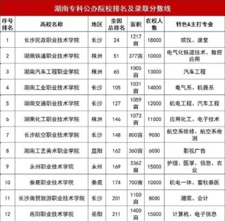 湖南工学院大数据管理与应用专业好不好？排名怎么样