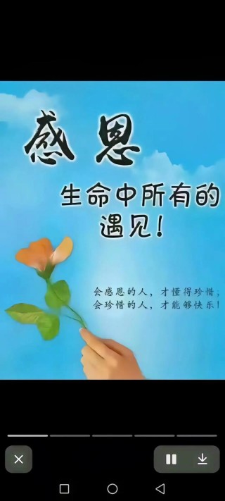 最打动人心的感恩句子，最触动心灵的感恩之语