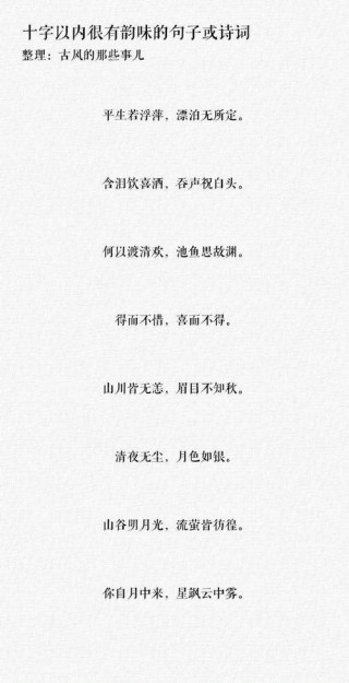 5 10字精美句子，静谧时光，心自悠扬。