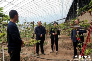 吴健:“小农机手”成了“农机专业户”