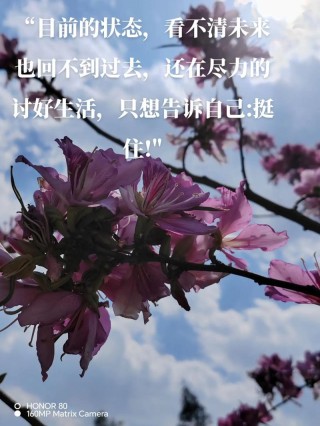 坚强，不是面对悲伤不流泪，而是擦干眼泪后微笑着面对以后的生活