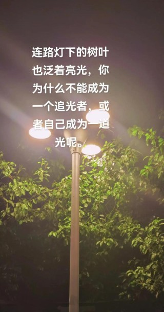 越是身处黑暗，越要选择走向光明