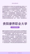 贵阳康养职业大学2025录取分数线公布（附2024投档线对比）