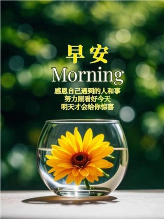 句句暖人心，暖心之语，句句触动心灵