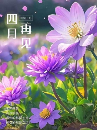 四月再见五月你好的朋友圈文案 五月你好的唯美句子暖心说说