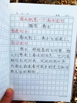 作文中惊艳的神仙句子，惊艳之作，神仙句子之美妙之处