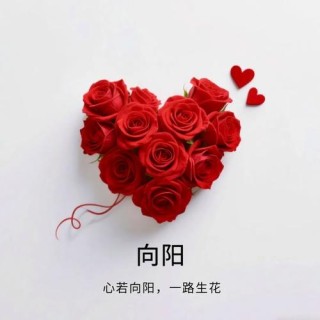 愿你永远面朝太阳，拥有半暖阳光