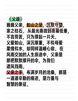 最朴实的赞美父亲的话，最朴实的赞美父亲的话，父爱如山，感恩无尽。