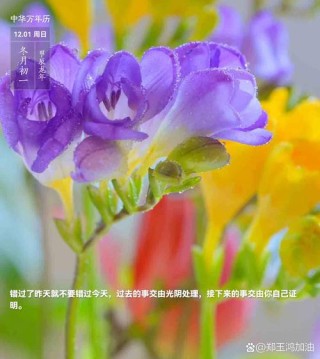 岁月，伴着时光