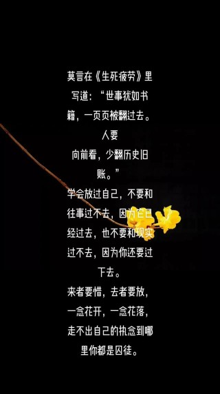 往事后不后悔，慢慢去体会