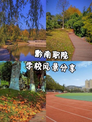 黔西南有哪些职业技术学院