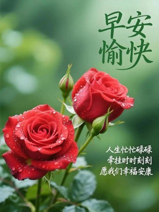 ​秋季早安祝福语短句，问候朋友快乐安康！
