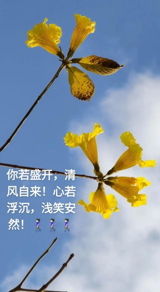 早读六首唯美诗词，心若向阳花自开，人若向暖清风来