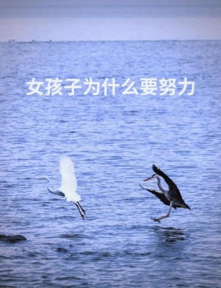 女生为什么不奋斗