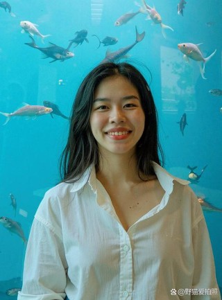 泉水清盈意温柔 作者：王志海