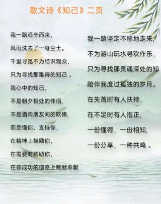 只为寻一个懂你的人