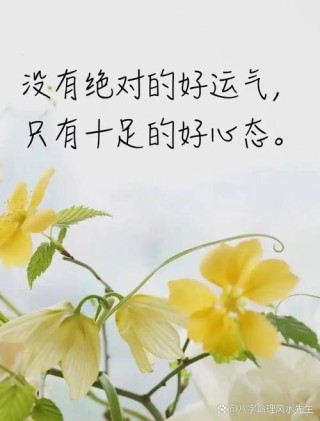 夜读丨心态越好，人生越顺