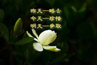 珍爱生命，以待将来