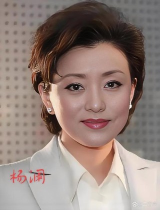 杨澜：我所经历的艰辛和失败