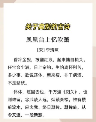 诗词