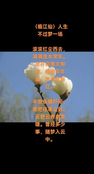 时光若梦，岁月惊鸿，繁花似锦觅安宁，淡云流水度此生