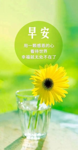 每日早安正能量励志问候语，成功需要付出努力和汗水