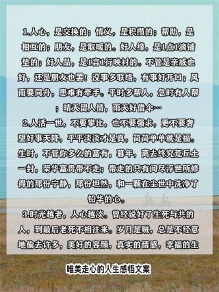 人生走心的感悟，人生走心的感悟之旅