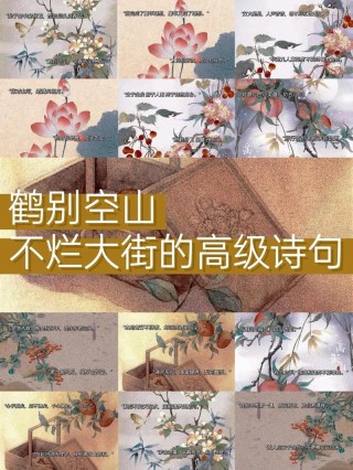 孤山梅鹤也有情