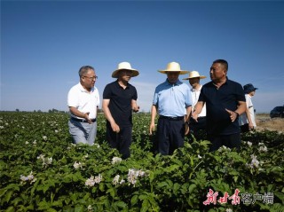 宁夏隆德李积良：带村民种植中药材致富