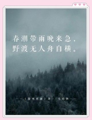 江南春：反思快的代价，逼自己慢下来