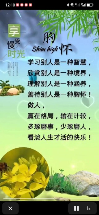 20条有助于培养乐观心态的哲理语录告诉你：静观万物，笑看人生