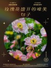 还可以这样写花？花的光芒，闪耀着永恒的美丽