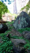 闽中难见前迹 （打一字）